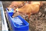 Freeze Proof plastic L13ft 300L Livestock Water Tank