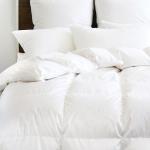 High Fill Power Luxury Household Cute/Cartoon Goose Down Pillows