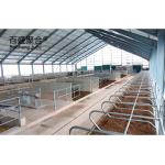 Custom Colors Metal Frame Steel Structure Cow Cattle Farm House Prefab Cow Shed