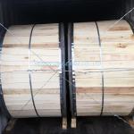 Armoured Cable Galvanized Steel Wire Shielding Tinned Copper Drain Wire 0.6/1kv