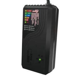 China 48V 12ah Motorcycle Car Battery Charger Pulse Repair with LCD Charger EU Plug Private Mold wholesale