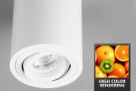 Black Ceiling Round Surface Mounted Downlight Adjustable For Showroom