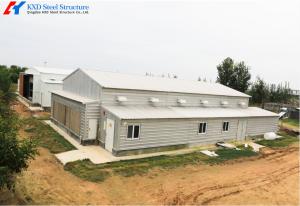 China Commercial Building Steel Structure Plant Poultry House For Chicken Shed wholesale