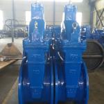 ANSI DIN Rubber Resilient Seated non-rising Stem Gate Valve