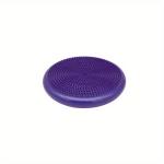 Yoga Balls Massage Pad Inflatable Stability Wobble Balance Disc Cushion Mat