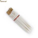 Wholesale Beekeeping Tools Plastic Royal Jelly Pen Apicultural Tools For