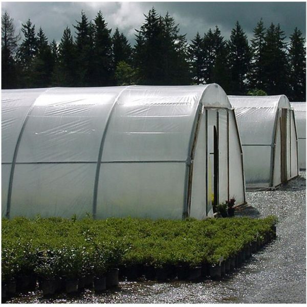 Hot-dip Galvanized Steel Frame Multi-span Hydroponic Greenhouse with Smart Irrigation System