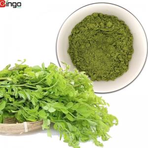 China 100% Natural Organic Moringa Leaf Powder for Health Benefits moringa herbal extract and powder on sale