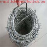 how to join barbed wire/before barbed wire book/razor wire band/making barbed