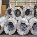 Customer Request Length 2mm 316 Stainless Steel Wire for Customized OEM