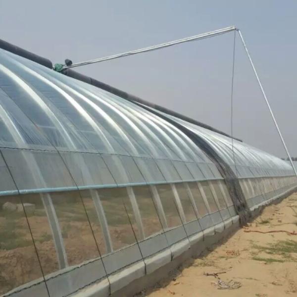 Arched Roof Multispan Hydroponics Plastic Film Agricultural Greenhouse for
