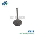 Isuzu Engine Parts Intake Valve 8-94395112-0 8943951120 for Isuzu Npr 4hf1 4hg1