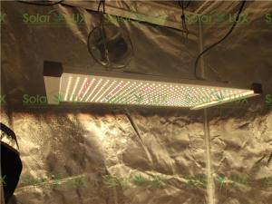 China 240Watt Seoul 395nm Osram 730nm Tent 3x3 Led Grow Light wholesale
