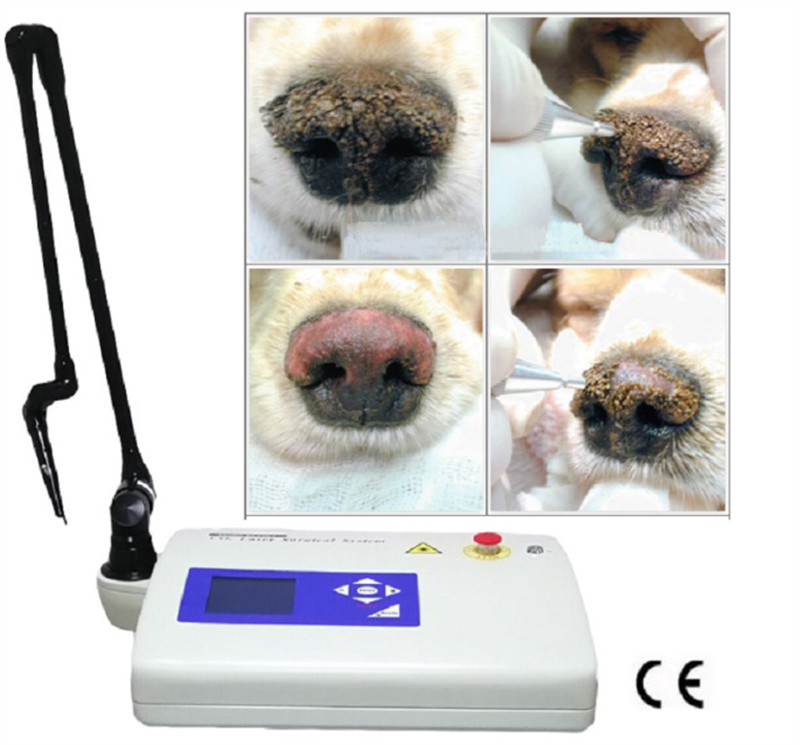 Portable Lcd Veterinary Co2 Laser For Animal Surgery Co2 Laser Surgical Device