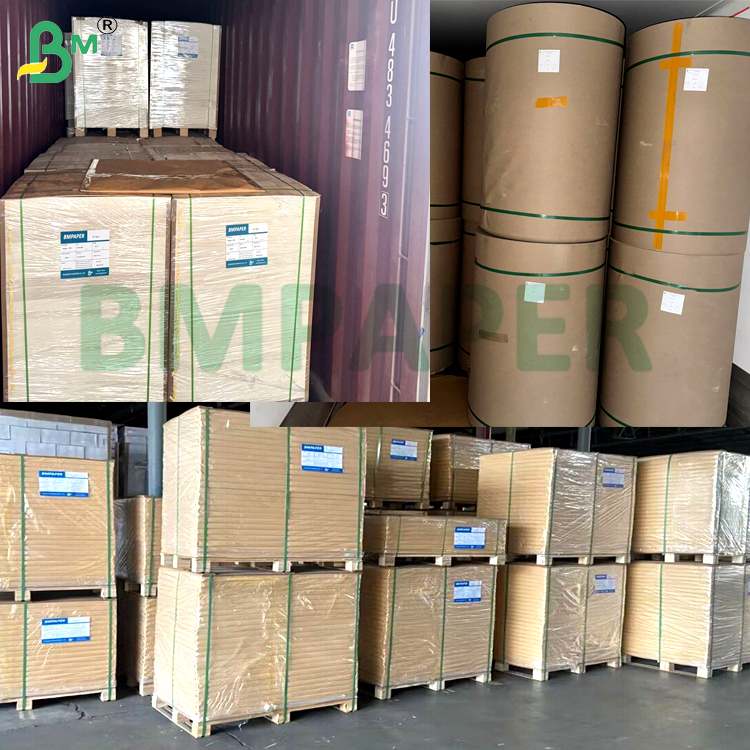 230gsm 250gsm PET High Temperature Resistance Food Grade Paper Board For Microwaveable Meal Boxes