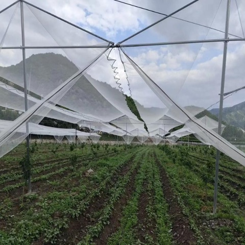 50 Mesh Insect Mesh Net 5 M Roll 120 Grams per Square Meter