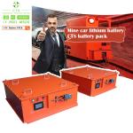 CTS 48V 300ah Lithium LFP Battery Pack 14kWh LiFePO4 for Electric Tractor