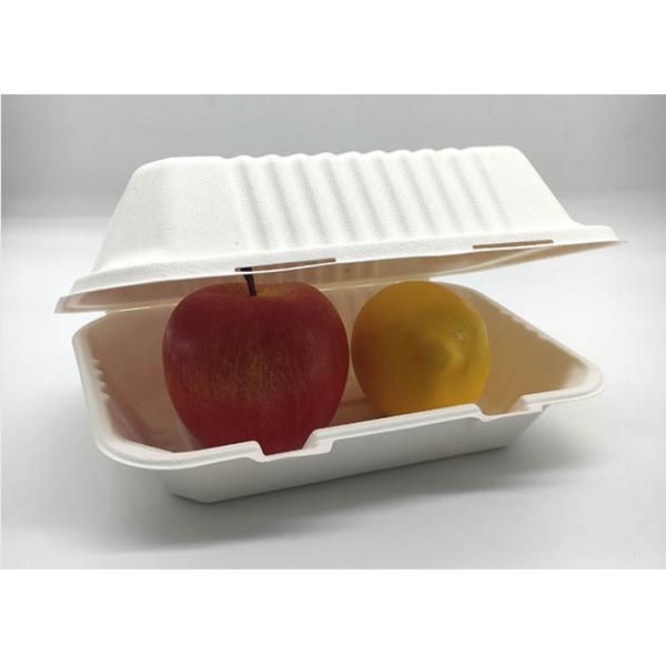 Sugarcane 9×6 Inch 33g To Go Containers Biodegradable