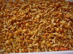 IQF New Crop Frozen Fruits And Vegetables Forest Nameko Mushroom Whole Part ABC