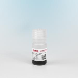 China Agrose Protein A Magnetic Beads Protein Purification 10% Volume Ratio 5 mL wholesale