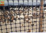 Heavy Duty Poultry Fence , Plastic Poultry Netting , HDPE Materilas , Black