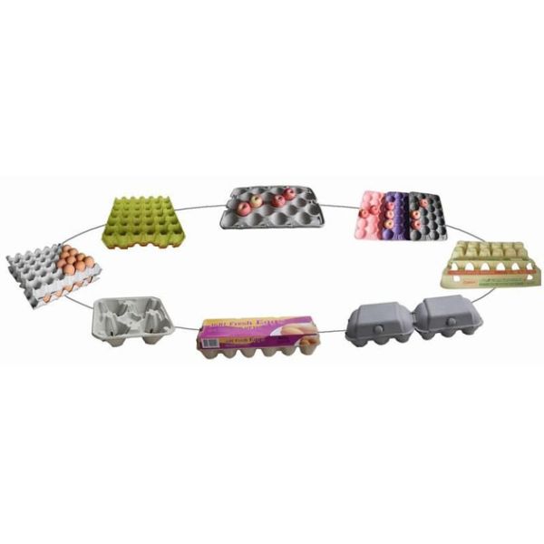 Semi-automatic Pulp Moulding Machinery Making Egg-tray / Fruit-tray / 400pcs/h