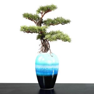 China Height 60cm Welcoming Pine Green Artificial Plant Desk Decor wholesale