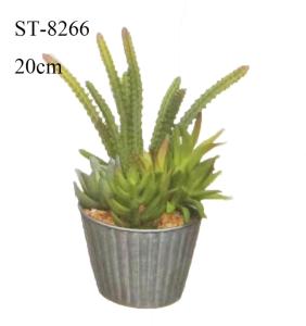 China 20CM Small Artificial Cactus Succulents Plant Gift Decorative Eco - Friendly wholesale