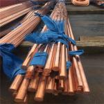 C3601 Solid Polished Red Rod 2mm-40mm C10100 C11000 C14500 Round Copper Bar for