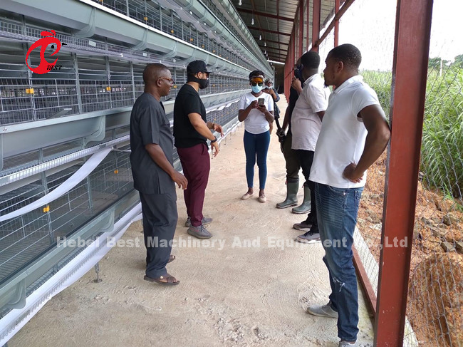 Chicken A And H Automatic Battery Cage System For Poultry Farming Breeding Sandy