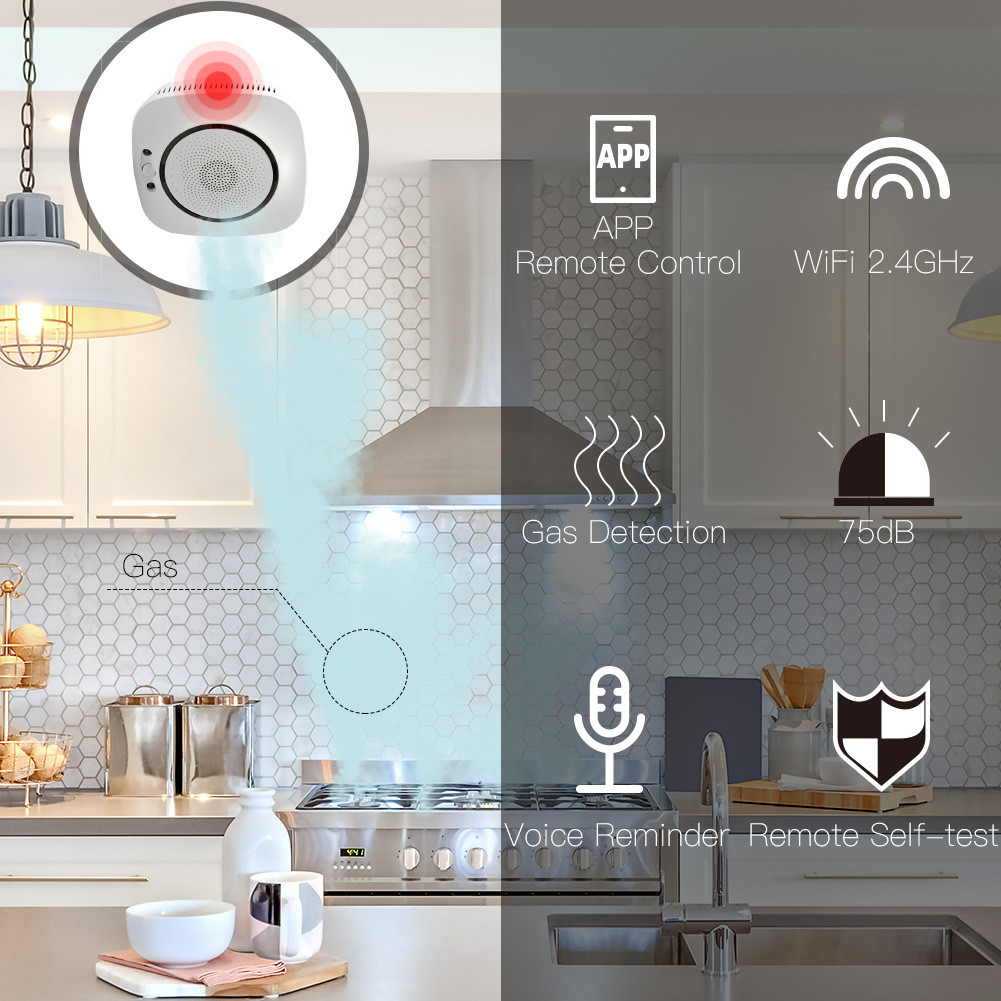 Tuya APP Smart WiFi Gas Detector Kitchen Cooking Gas Leak Alarm and Carbon Monoxide Detector