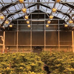 China Single Span Tunnel Greenhouse Blackout System Hydroponic System Extreme Light Deprivation Greenhouse Suppliers wholesale