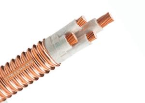 China Fire Resistant Mineral Insulated Cable Electric IEC60502 Standard wholesale