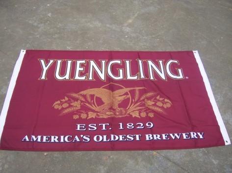 Marketing Promotional Flags Advertising Banner Flags Angled Straight B1 Fire