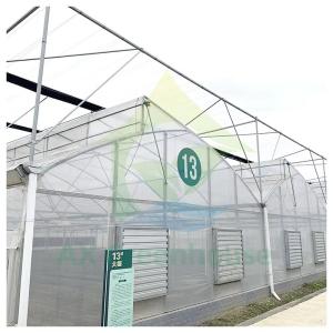 China Poly Plastic Film Tunnel Multi-span Agricultural Vegetable Growing Greenhouse wholesale