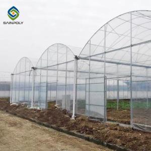 China Agricultural Polytunnel Polyethylene Plastic Sheeting Greenhouse Multi Span wholesale