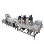 Small continuously kitchen washing fruits and vegetables machine and cleaning