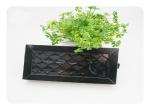 Olive Oil Cosmetic Paper Box with Blister Insert , Eco Cosmetic Packaging