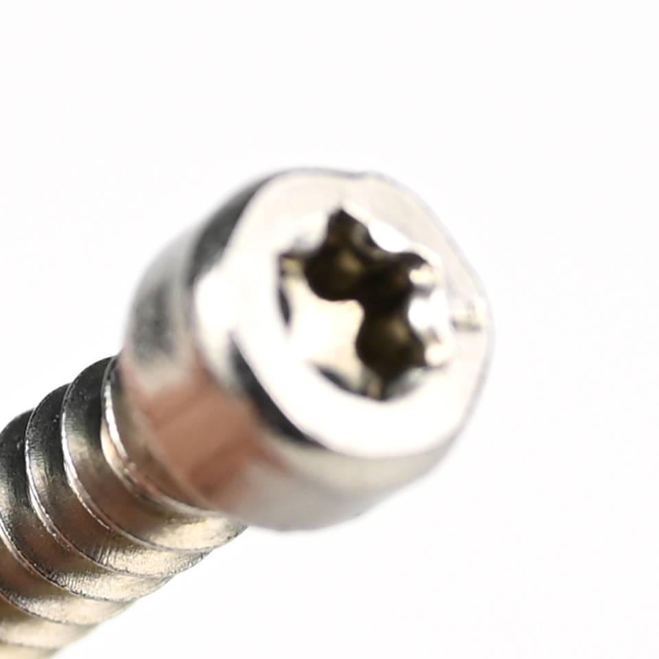 Steel Structure Self Drilling Tapping Screw M6x25mm Torx Fillister with Installation