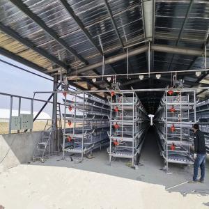 China H Frame Broiler Cage HDG Battery Layer Chicken Cage System wholesale