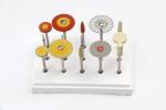 Durable and Heat Resistant Zirconia Polishing Bur for Lisi Block Polishing Tool