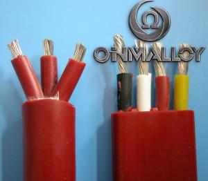 China Thermocouple Stranded Twisted Tinned Copper Silicone Insulated Wires 3x2.5 Cross Section wholesale