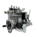 Fuel Injection Pump 4PL1155 4PL1156 BHF4PM100001 For YZ4102ZLQ 4100Q
