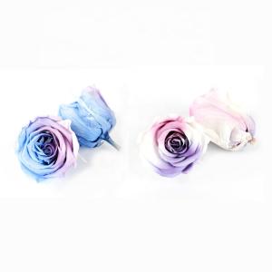 China Beautiful Colorful Preserved Rose Heads Elegant For Home Decoration wholesale