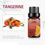 100% Natural Herbal Essential Oils 10ml Tangerine Essential Oil OEM/OBM