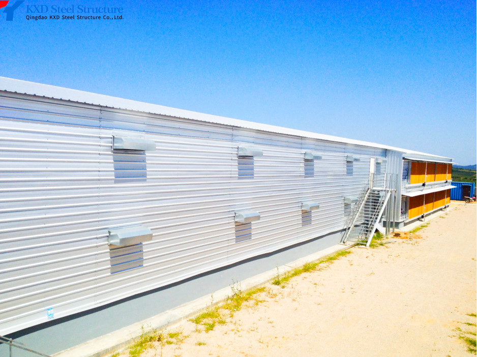 Commercial Building Steel Structure Plant Poultry House For Chicken Shed