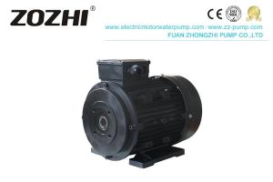 China Three Phase 2 Pole 3000Rpm Electric Horizontal Hollow Shaft Motor For Cleaning Machine wholesale