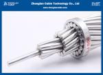 Overhead All Aluminum Power Cable High Strength AAC AAAC ACSR BS Standard Cables