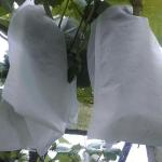 Anti UV Fruit Tree Protection Bags , Spunbond Nonwoven Bags To Cover Fruit On