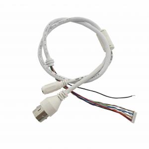 China MX1.25 10 Pin IP Camera Cable RJ45 Chassis DC*5.5*2.1 IP Camera Tail Cable 011 wholesale